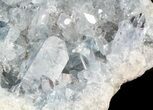 Celestine (Celestite) Crystal Cluster (Geode) - Madagascar #45637-2